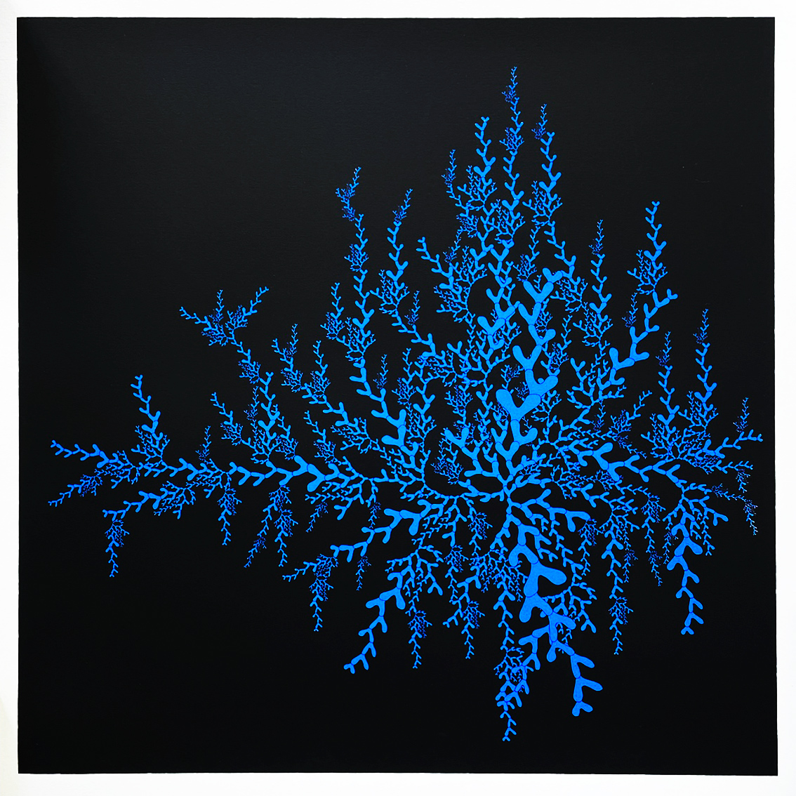 CORAL BLUE